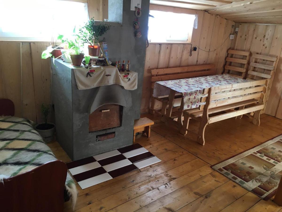 У Ондраша Apartment Yasinya Exterior photo